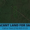 1.25 Acres In Desirable Area, Option to Double Lot Size! Volusia County, Florida