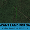 1.25 Acres of Privacy, Option to Double Lot Size! Volusia County, FL